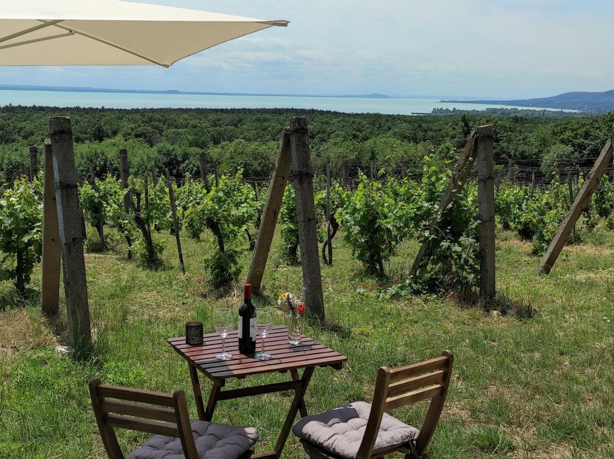 Napraszallas Vendeghaz Balatonakali Zewnętrze zdjęcie