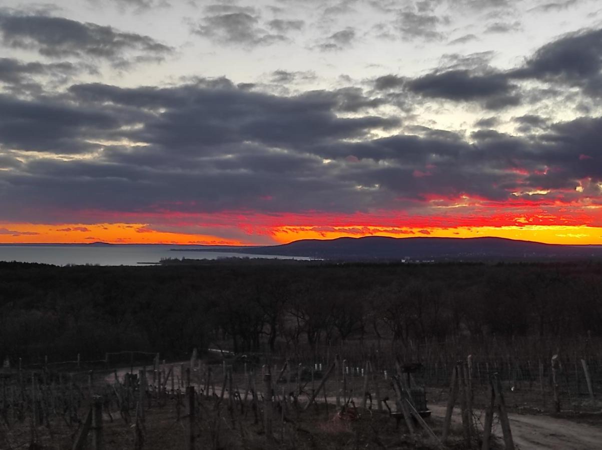 Napraszallas Vendeghaz Balatonakali Zewnętrze zdjęcie